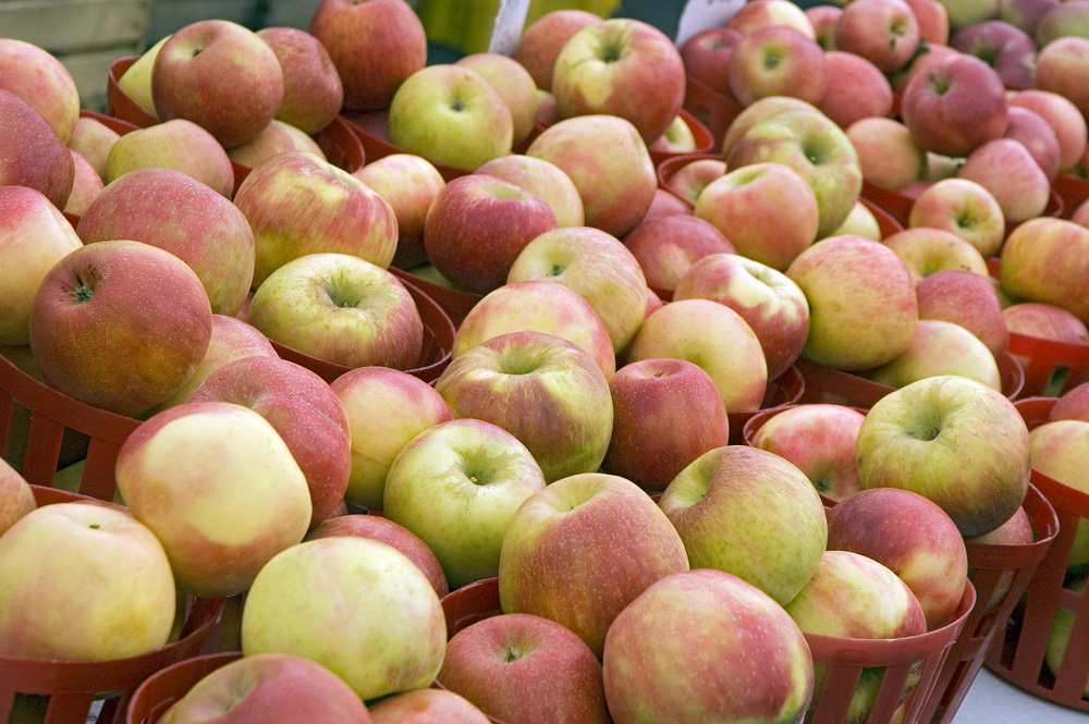 Apples at farmers market-1